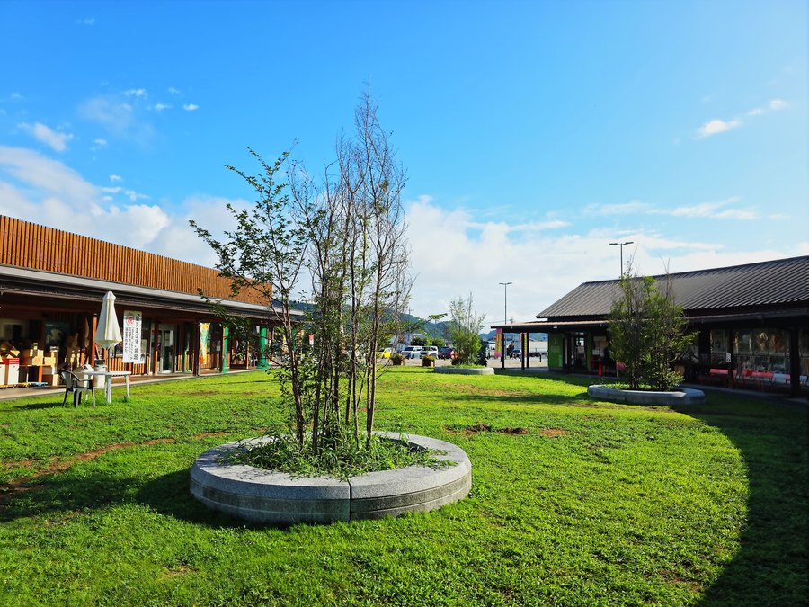 芝生と建物